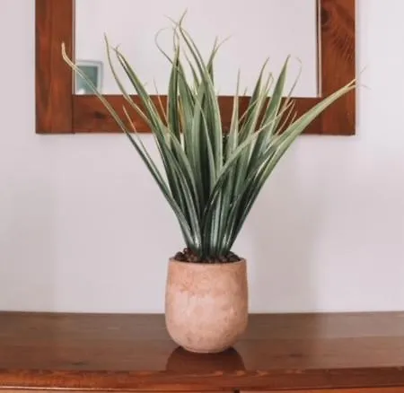 Апарт-отель Perseas 3*