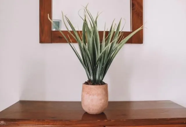 Hotel apartamentowy Perseas 3*